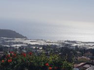 Fotos vom 26.04.2025