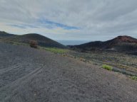 Fotos vom 28.04.2025