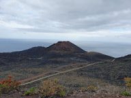 Fotos vom 28.04.2025