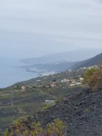 Fotos vom 28.04.2025