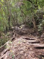 Fotos vom 29.04.2025