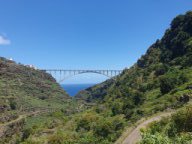 Fotos vom 29.04.2025