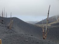 Fotos vom 02.05.2025