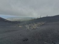 Fotos vom 02.05.2025