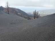 Fotos vom 02.05.2025
