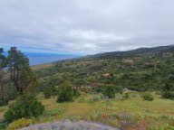 Fotos vom 04.05.2025