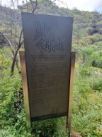 Fotos vom 04.05.2025