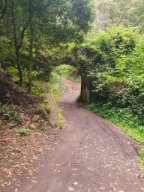 Fotos vom 05.05.2025