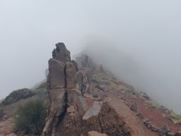 11.05.2026